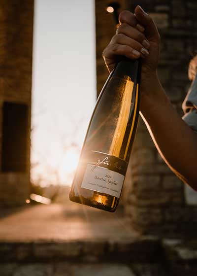 Kundin mit süßem Bacchus im Gegenlicht Kundin mit süßem Bacchus im Gegenlicht