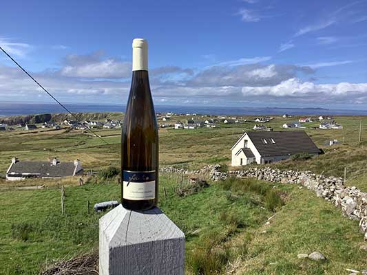 Chardonnay in Irland, Kundenfoto Chardonnay in Irland, Kundenfoto