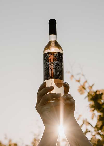 Goldmuskateller Fuchsetikett im Gegenlicht, Kundenfoto Goldmuskateller Fuchsetikett im Gegenlicht, Kundenfoto