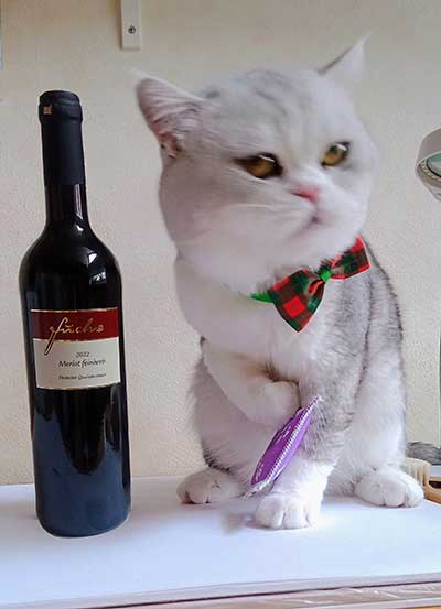 Kundenfoto Merlot feinherb Kundenfoto Merlot feinherb