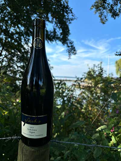 Regent am Dümmer See, Kundenfoto Regent am Dümmer See, Kundenfoto