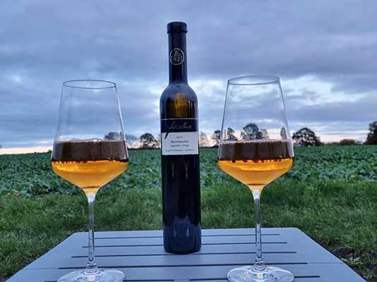 Sieger-Ortega-Beerenauslese, Kundenfoto Sieger-Ortega-Beerenauslese, Kundenfoto