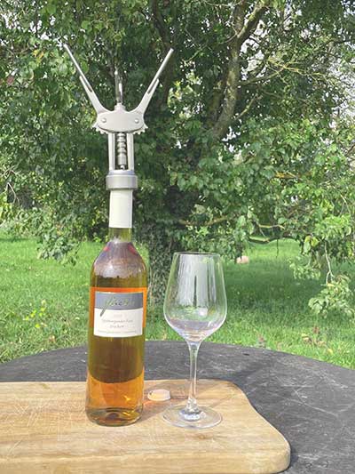 Spätburgunder Rosé trocken im Garten von Kunden Spätburgunder Rosé trocken im Garten von Kunden