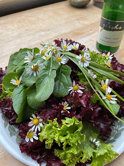 Bunter Salat mit Verjus, Kundenfoto Bunter Salat mit Verjus, Kundenfoto