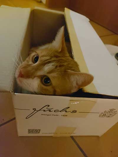 Weinkarton, Kundenfoto Weinkarton, Kundenfoto