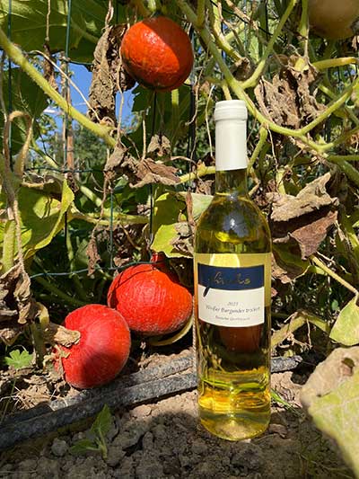 Weißburgunder trocken, Kundenfoto Weißburgunder trocken, Kundenfoto