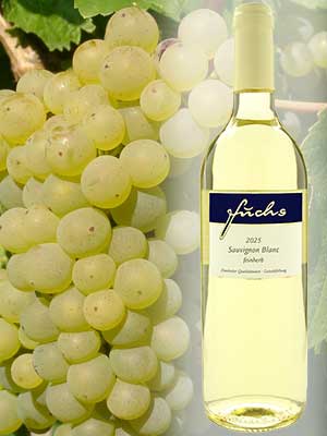 Weißwein Sauvignon Blanc feinherb im Weingut Fuchs Weißwein Sauvignon Blanc feinherb im Weingut Fuchs