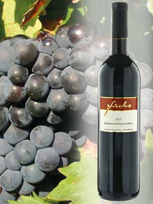 Klassischer trockener Schwarzriesling Klassischer trockener Schwarzriesling