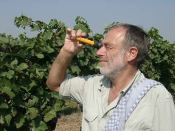 Refraktometer zur Reifemessung bei Weintrauben
