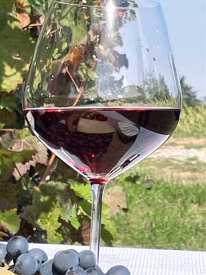 Rotwein im Glas