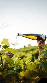 Kunde schenkt Bacchus ein Kunde schenkt Bacchus ein