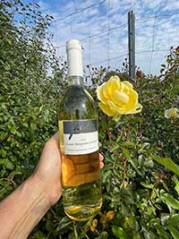 Grauburgunder feinherb im Garten von Kunden Grauburgunder feinherb im Garten von Kunden