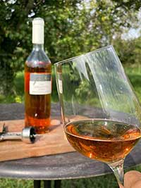 Spätburgunder Rosé trocken im Garten von Kunden Spätburgunder Rosé trocken im Garten von Kunden