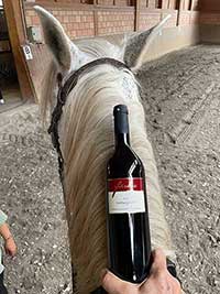 Süßer Spätburgunder Rotwein, Kundenfoto Süßer Spätburgunder Rotwein, Kundenfoto