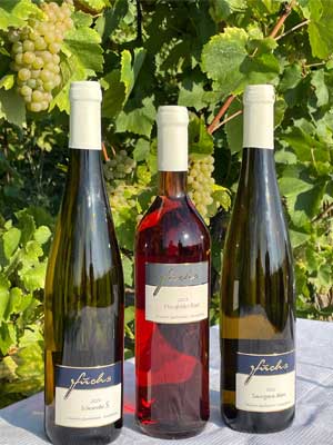 Wine Tasting Package 3 Sweet Wines