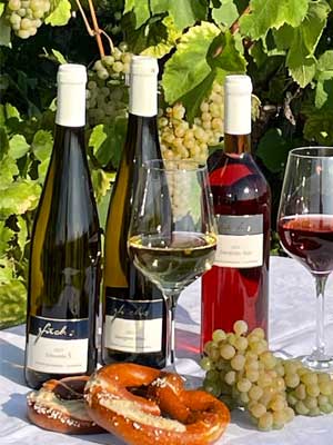 Wine Tasting Package 3 Sweet Wines