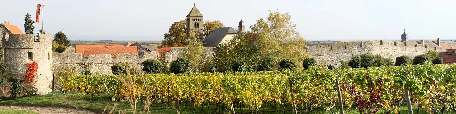 Blick aus den Weinbergen auf die mittelalterliche Mauer von Dalsheim im südlichen Rheinhessen