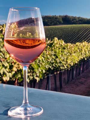 Roséwein: elegante Fruchtigkeit