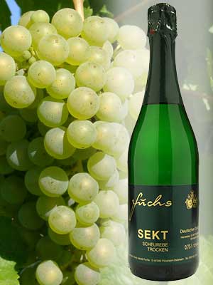 Scheu’s Grape Champagne Dry