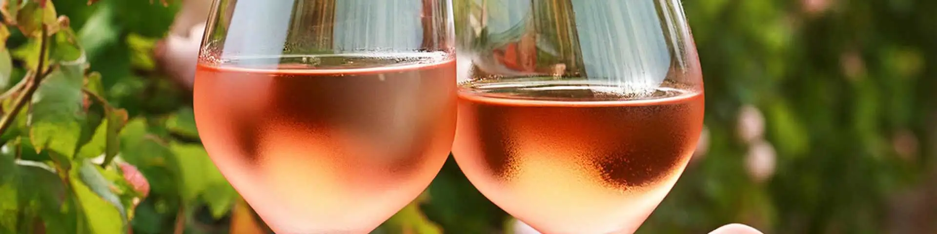 Roséwein: Fruchtig-eleganter Genuss